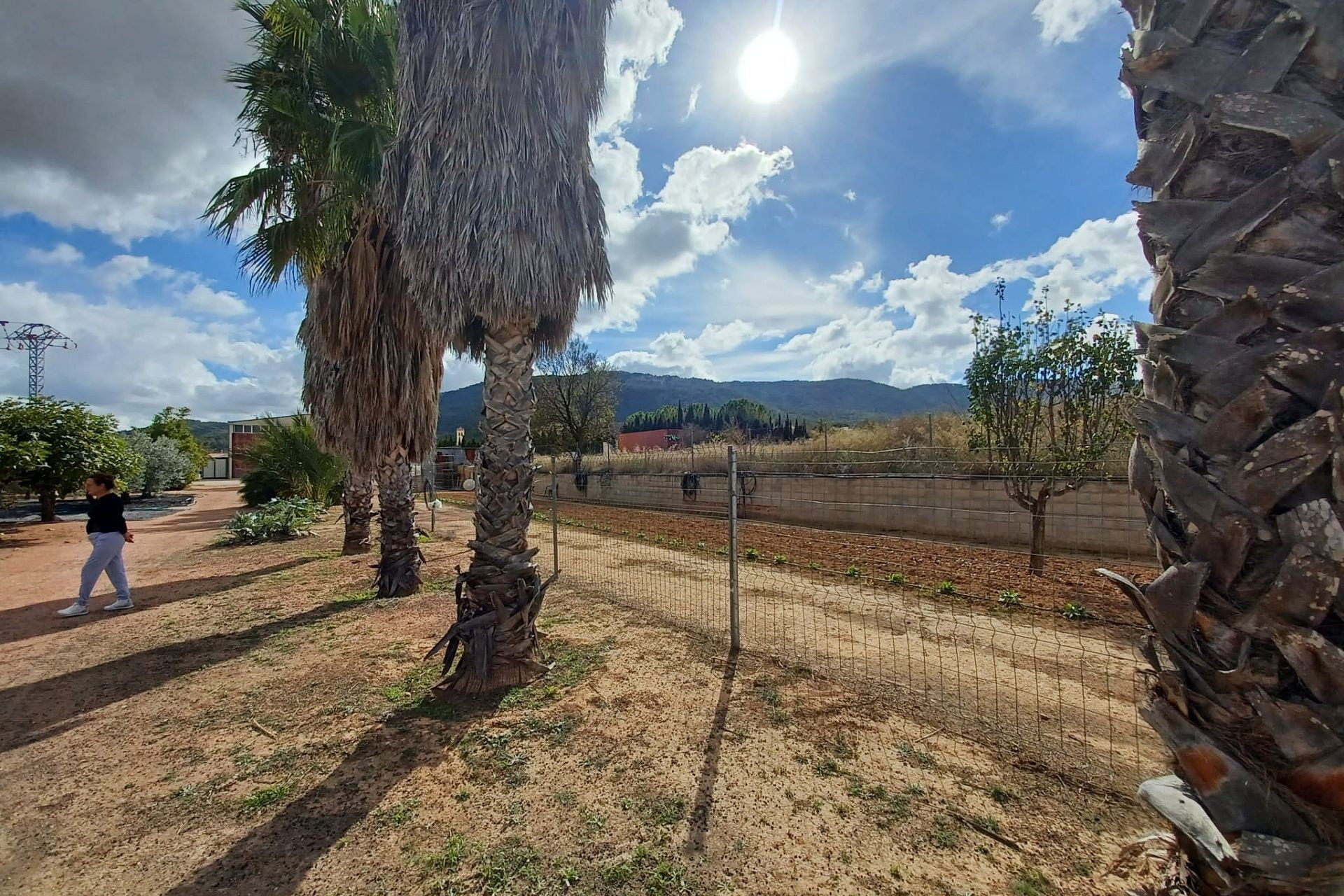 Herverkoop - Landhuis -
Monovar