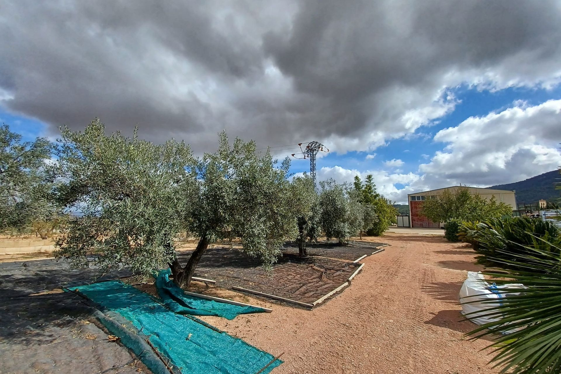 Herverkoop - Landhuis -
Monovar