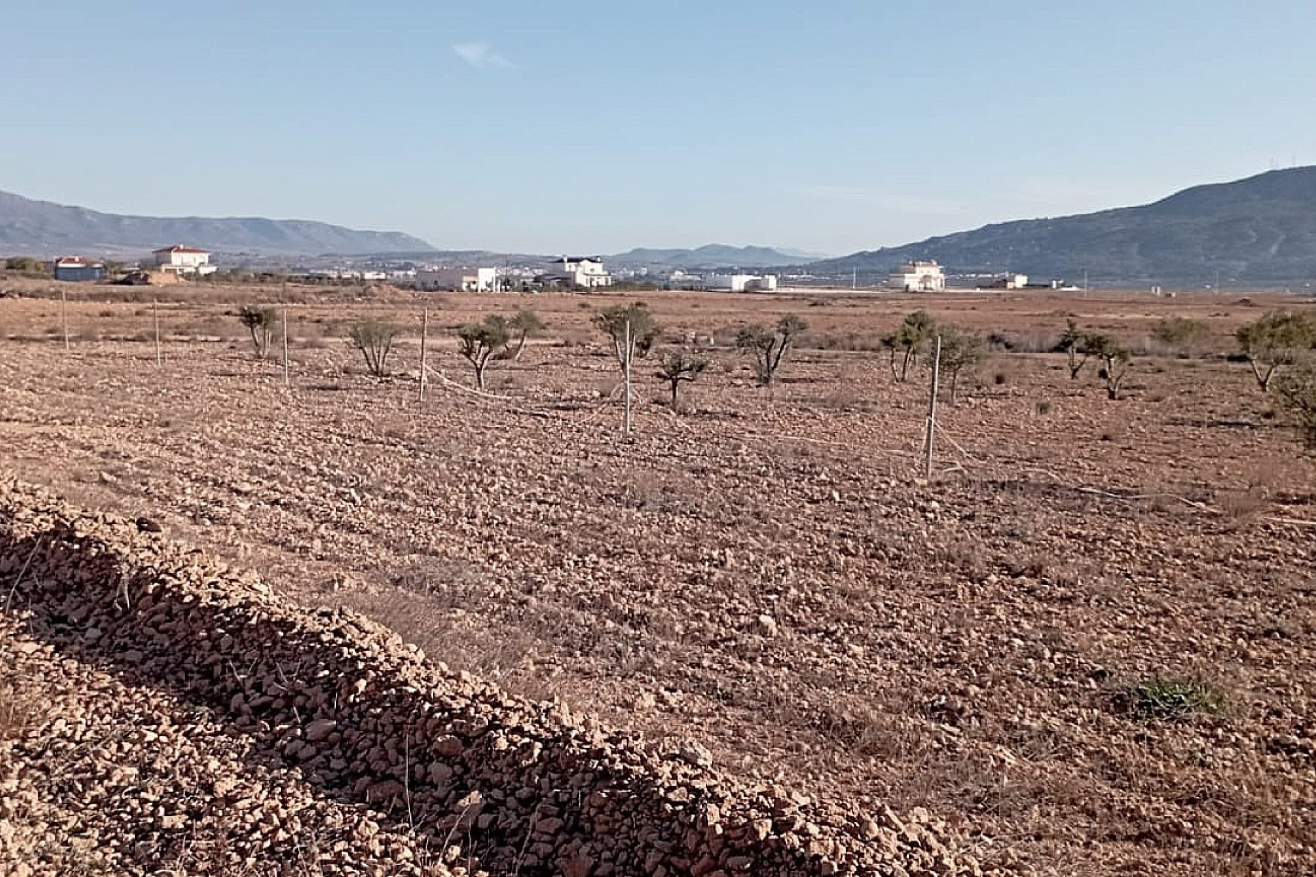 Herverkoop - Landhuis -
Pinoso