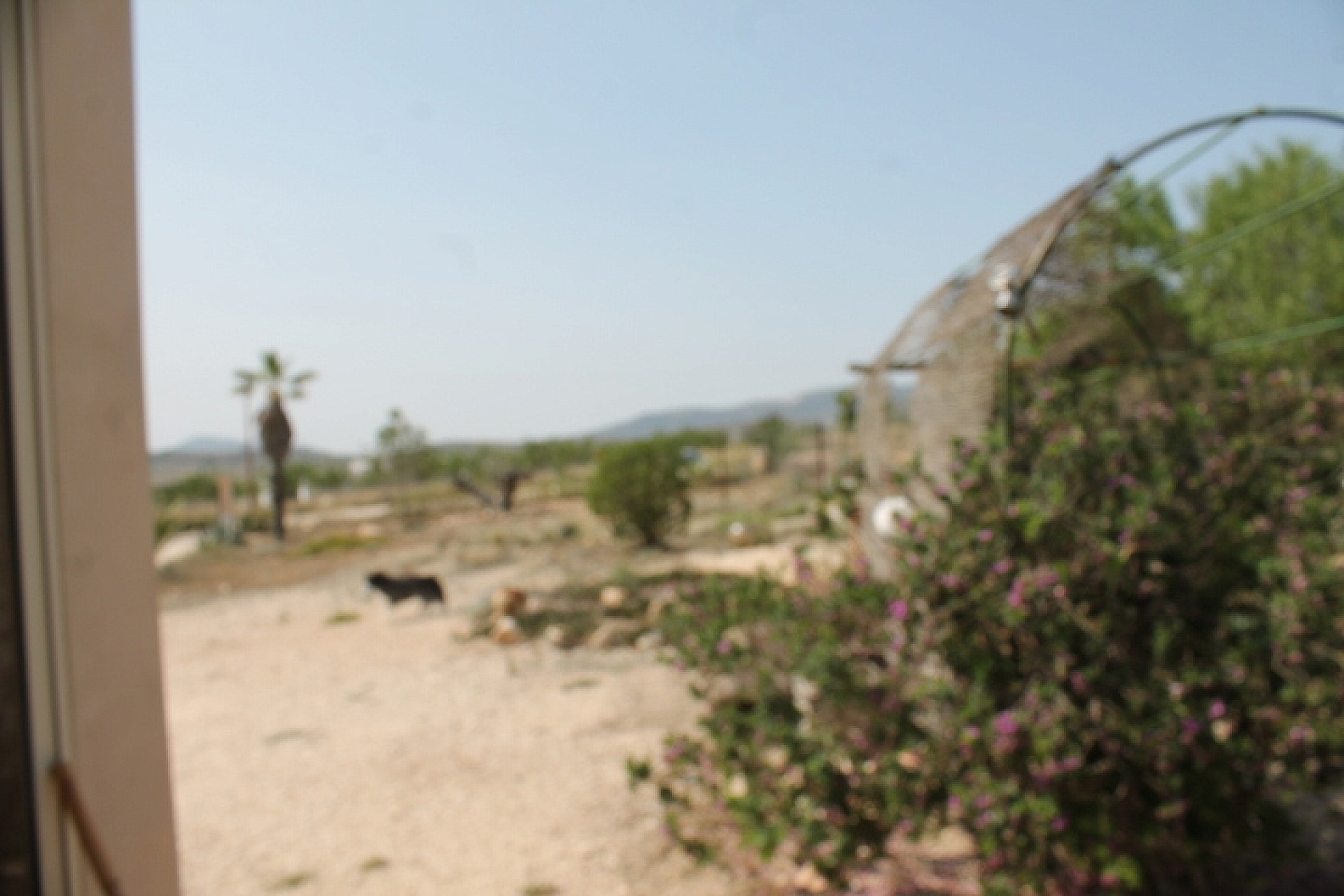 Herverkoop - Landhuis -
Pinoso