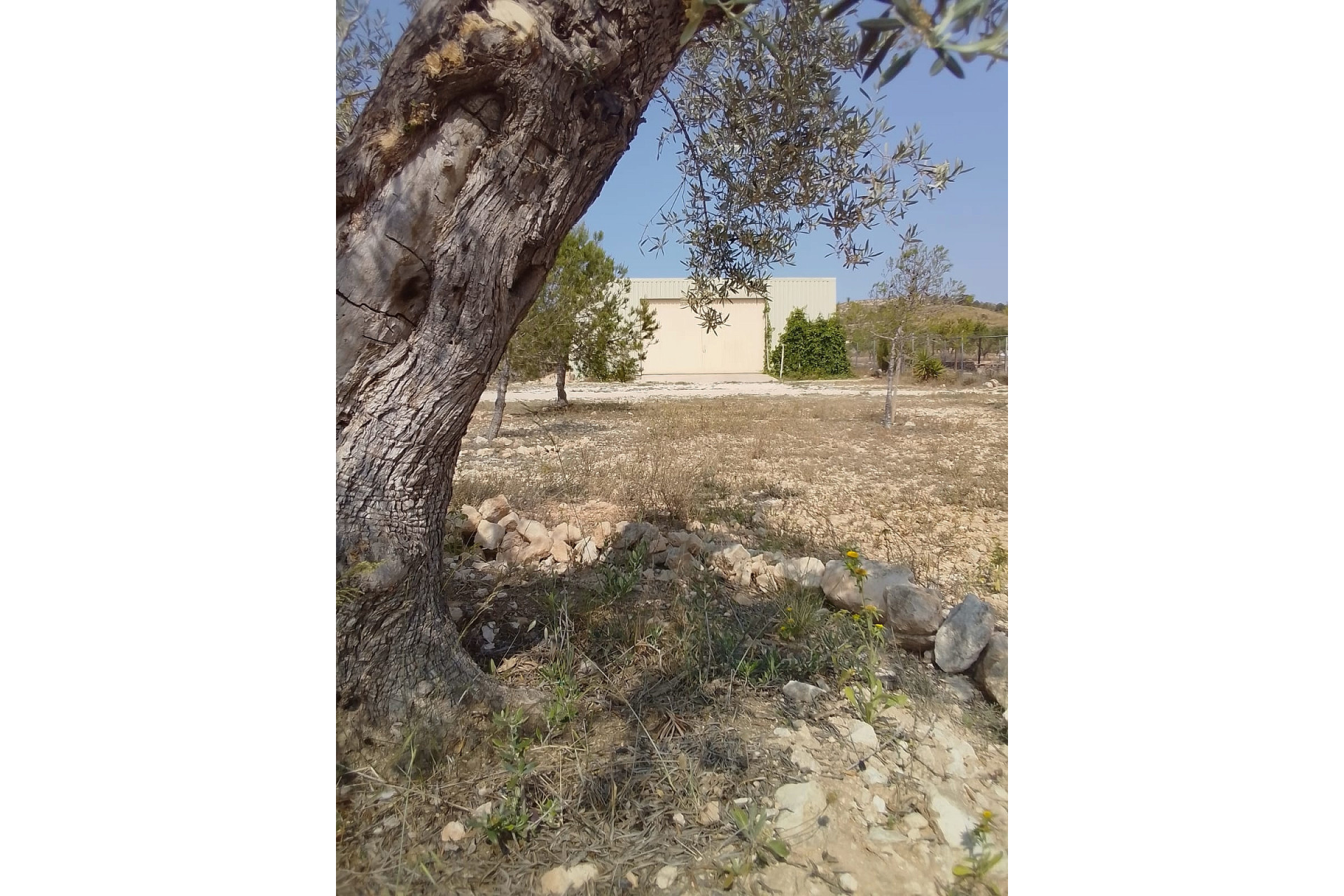 Herverkoop - Landhuis -
Pinoso