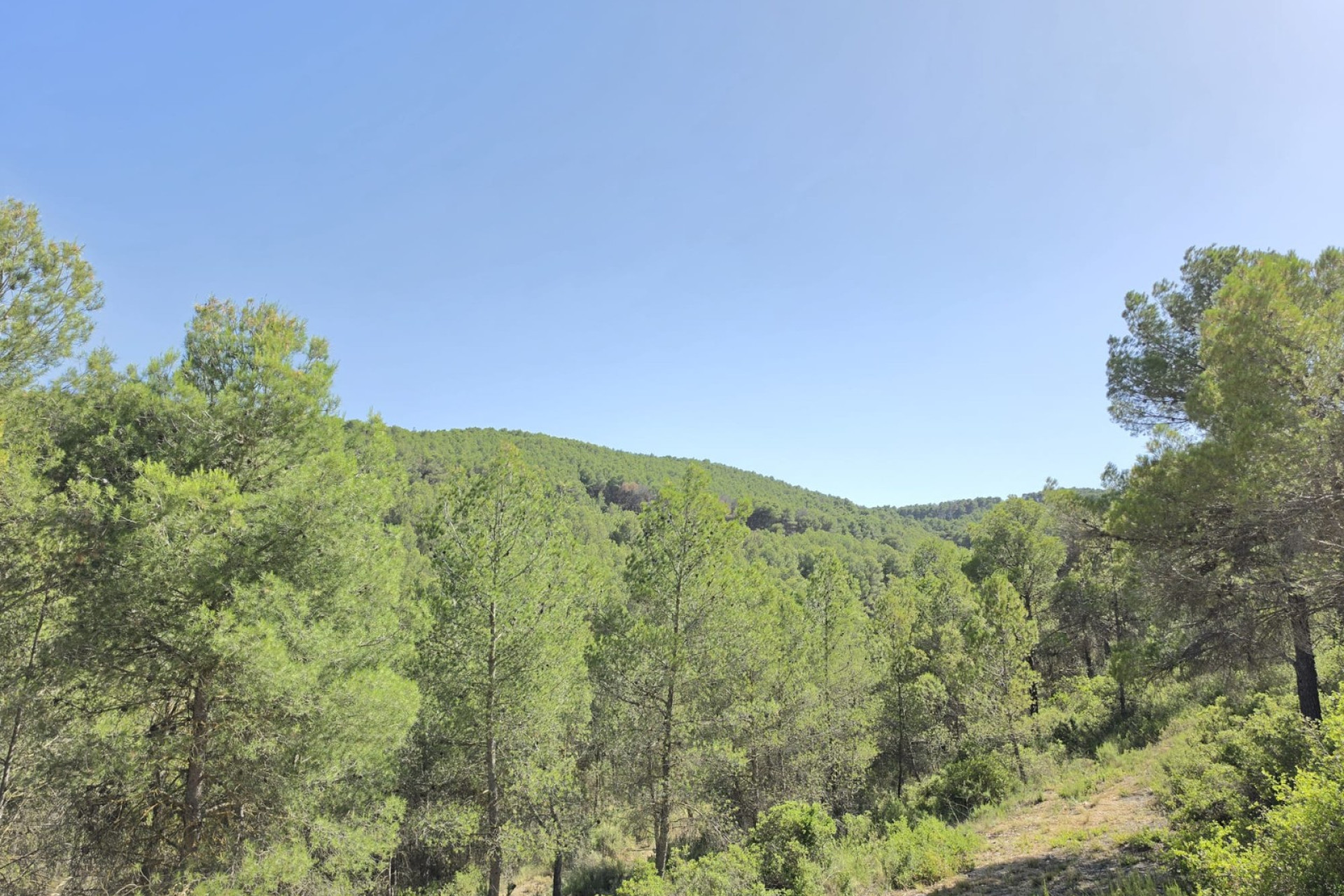 Herverkoop - Landhuis -
Villena - Inland