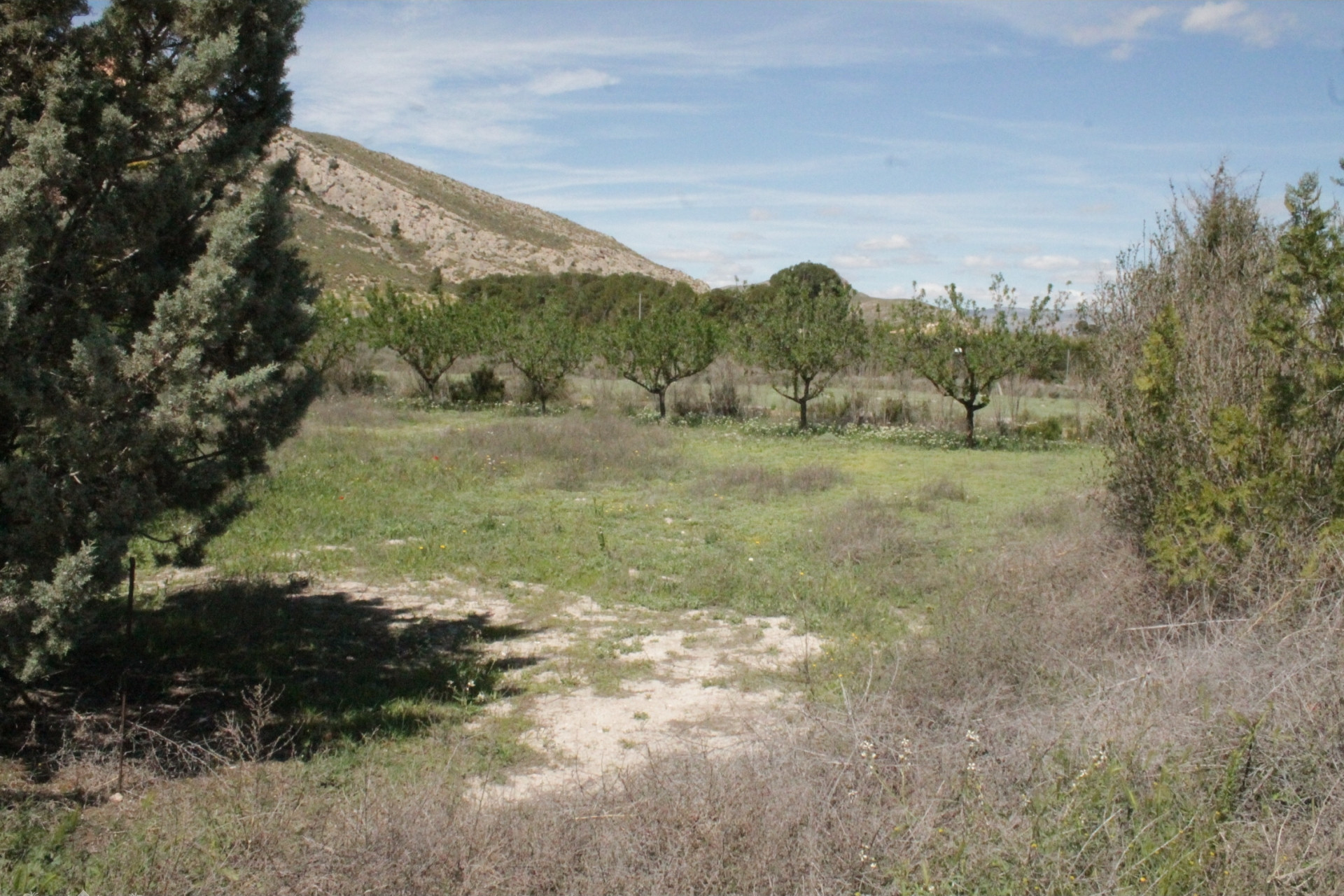 Herverkoop - Landhuis -
Villena - Villena Alicante