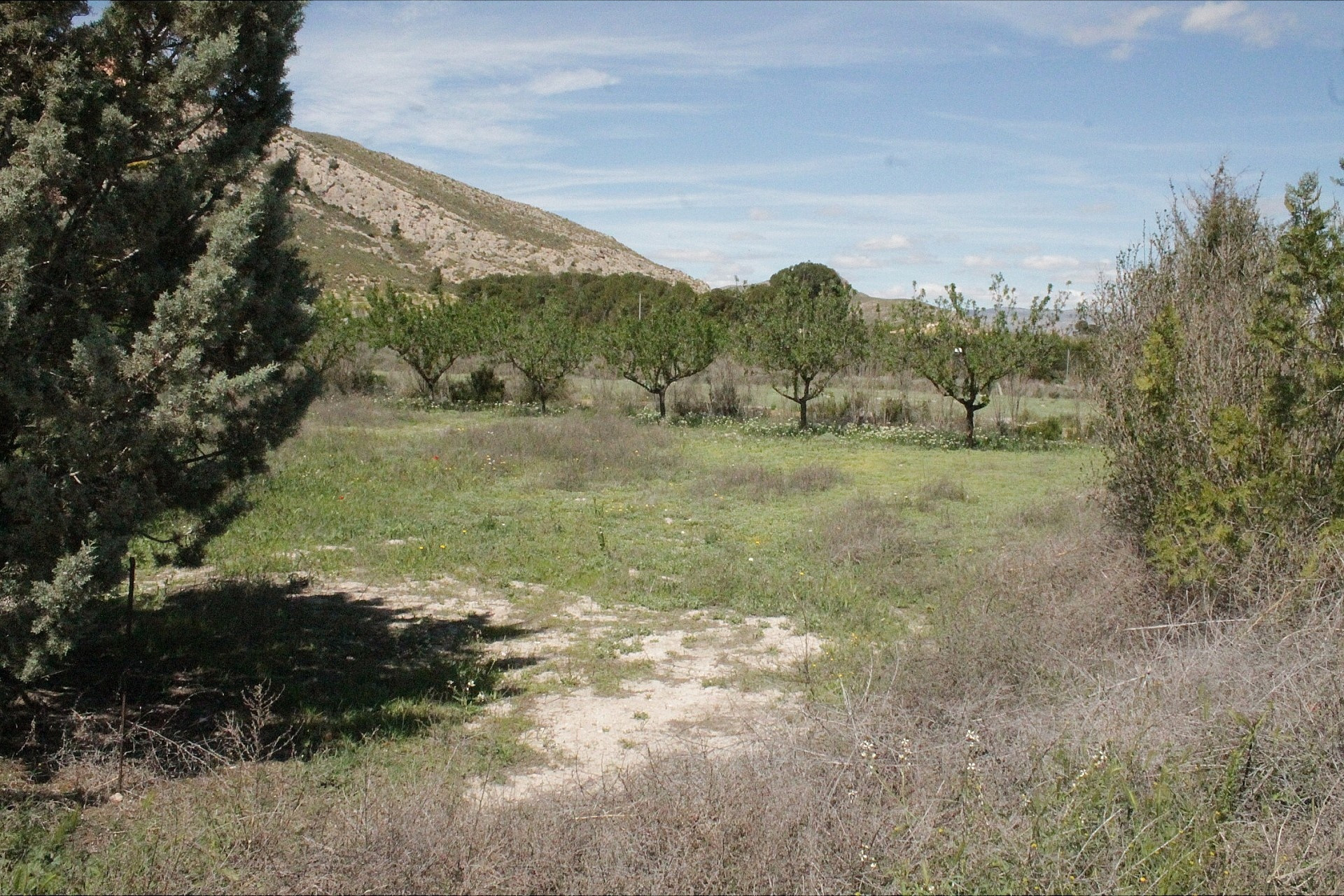 Herverkoop - Landhuis -
Villena