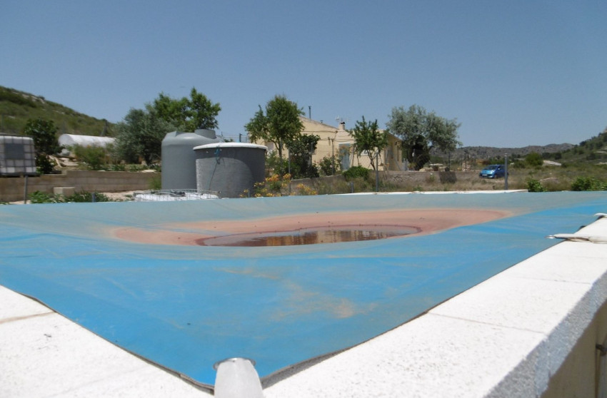 Herverkoop - Landhuis -
Yecla