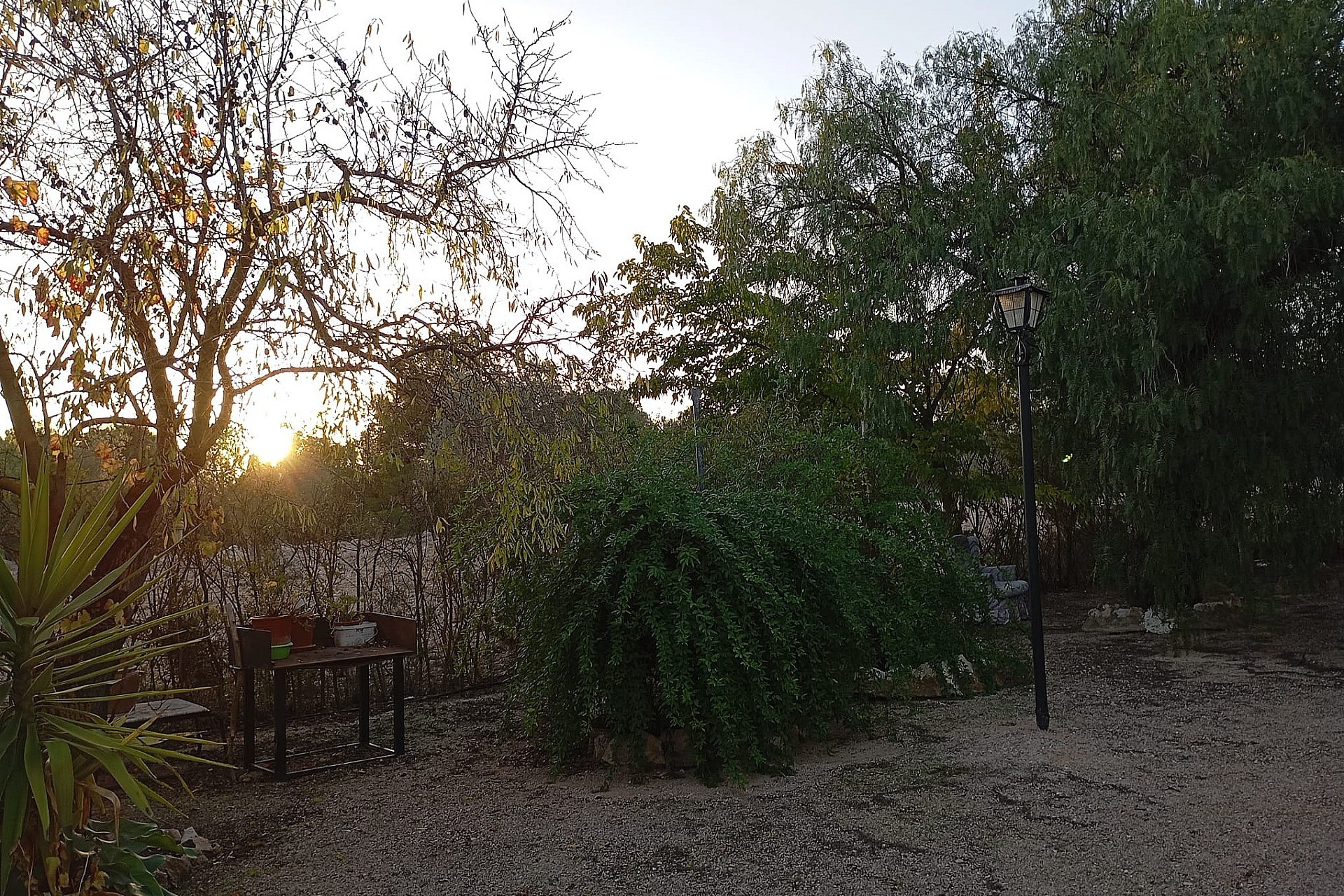 Herverkoop - Landhuis -
Yecla