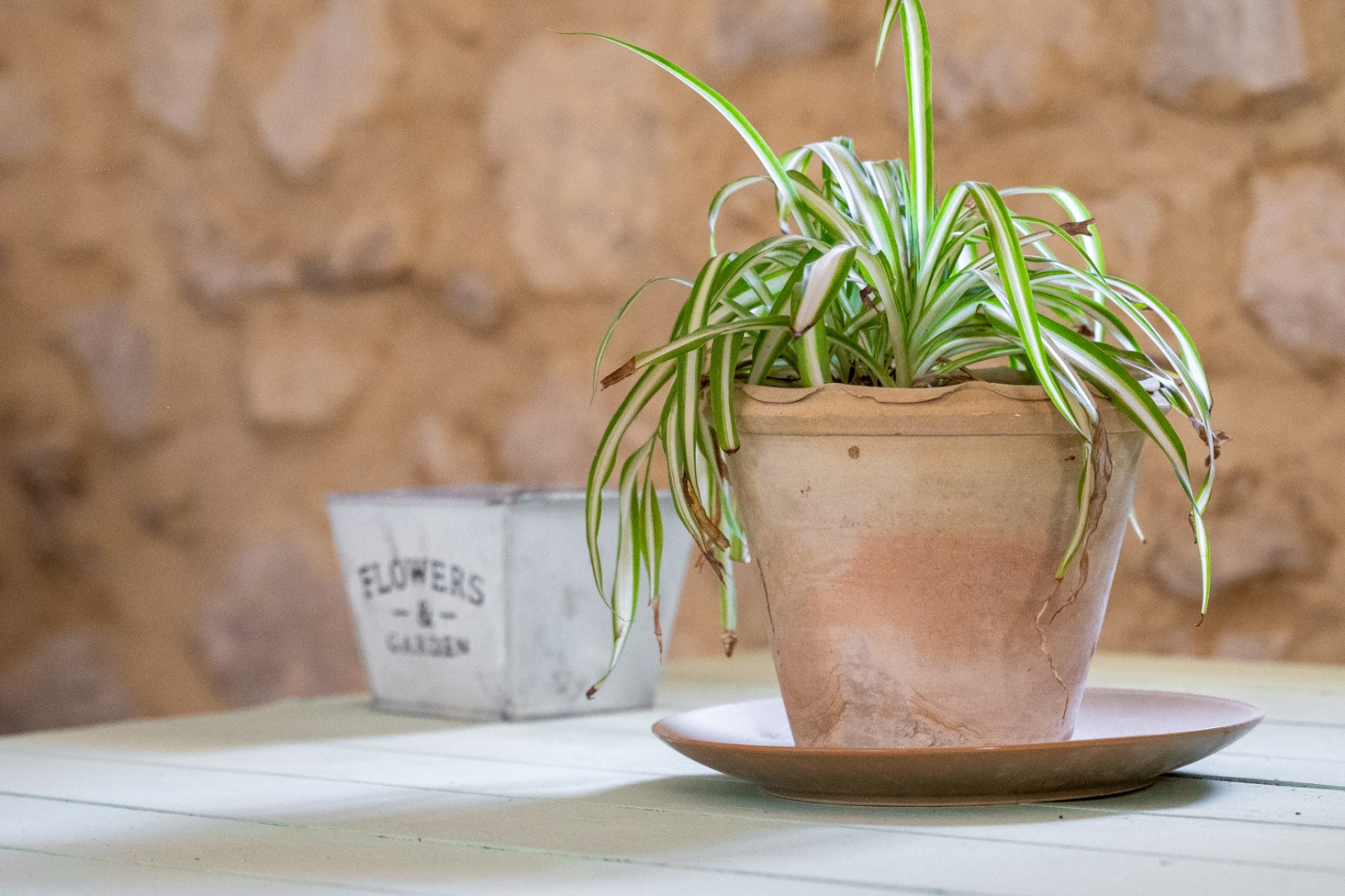 Herverkoop - Others -
Castalla