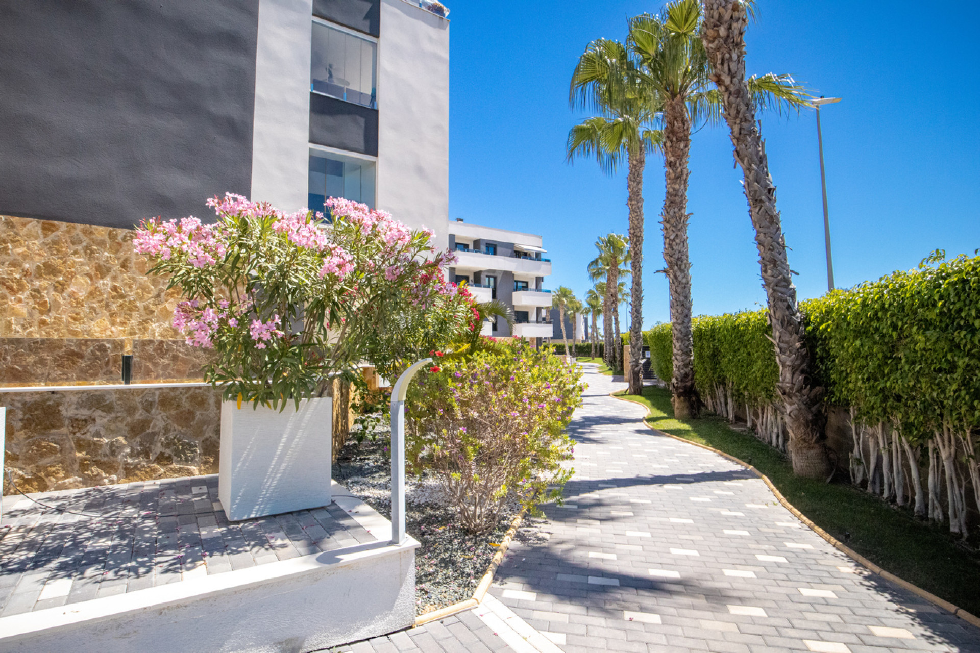 Herverkoop - Penthouse -
Torrevieja - AMANECER