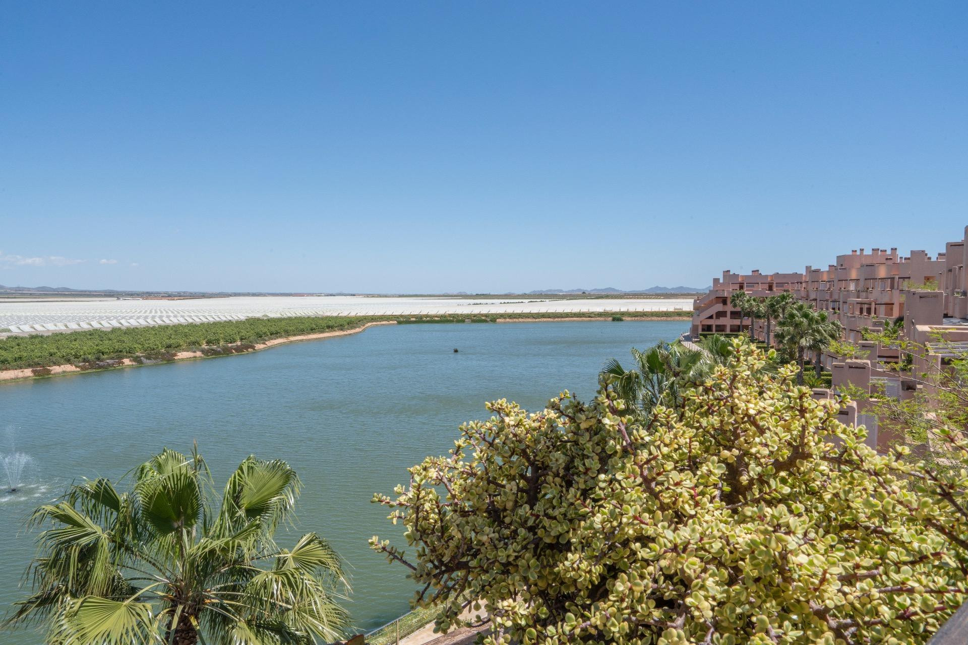 Herverkoop - Plat -
Alhama De Murcia - Condado De Alhama