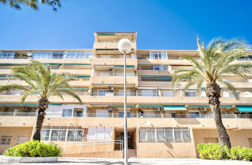 Herverkoop - Plat -
Guardamar del Segura