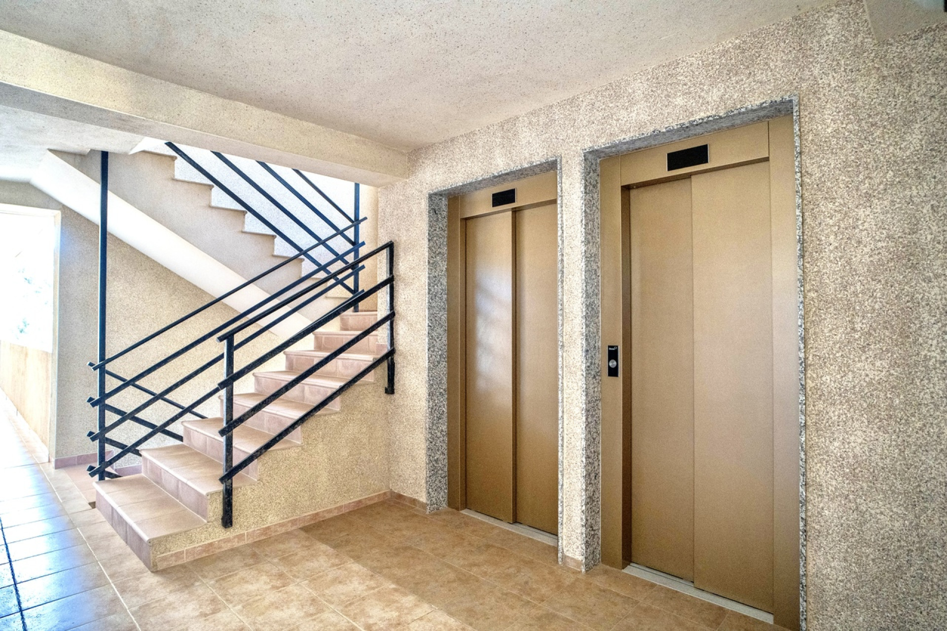 Herverkoop - Plat -
Guardamar del Segura