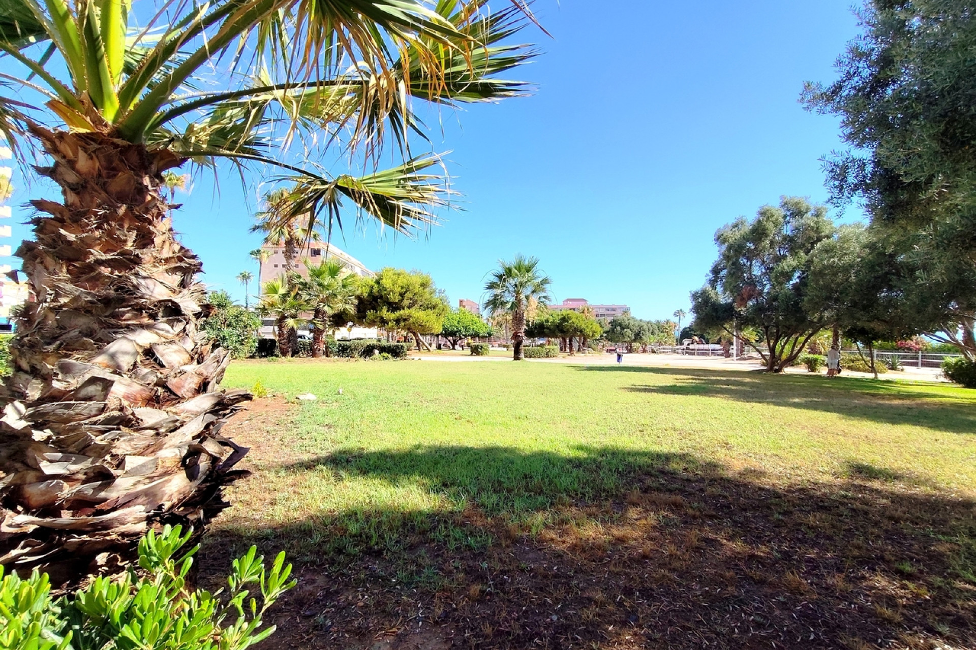 Herverkoop - Plat -
La Mata