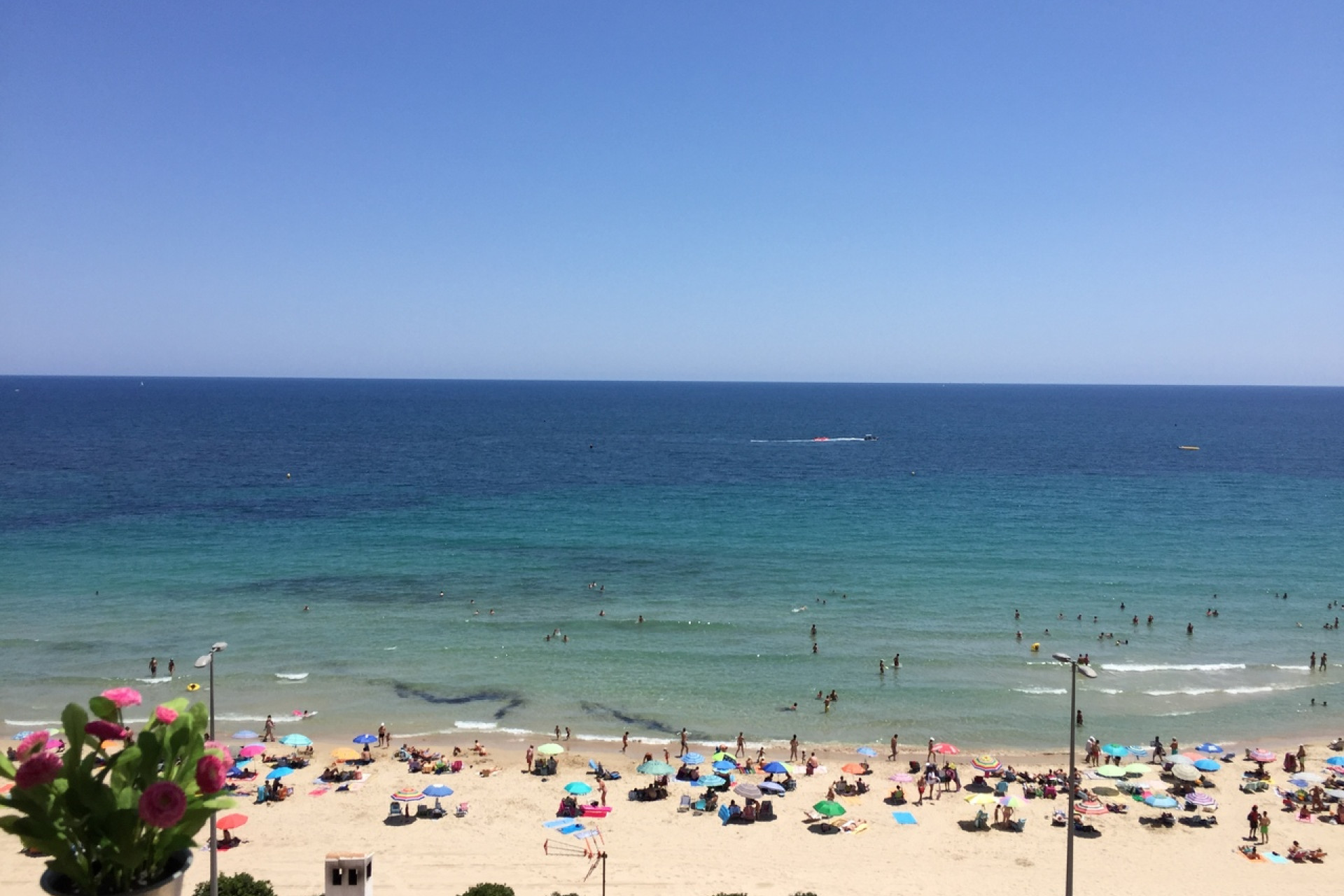 Herverkoop - Plat -
Mil Palmeras - Costa Blanca
