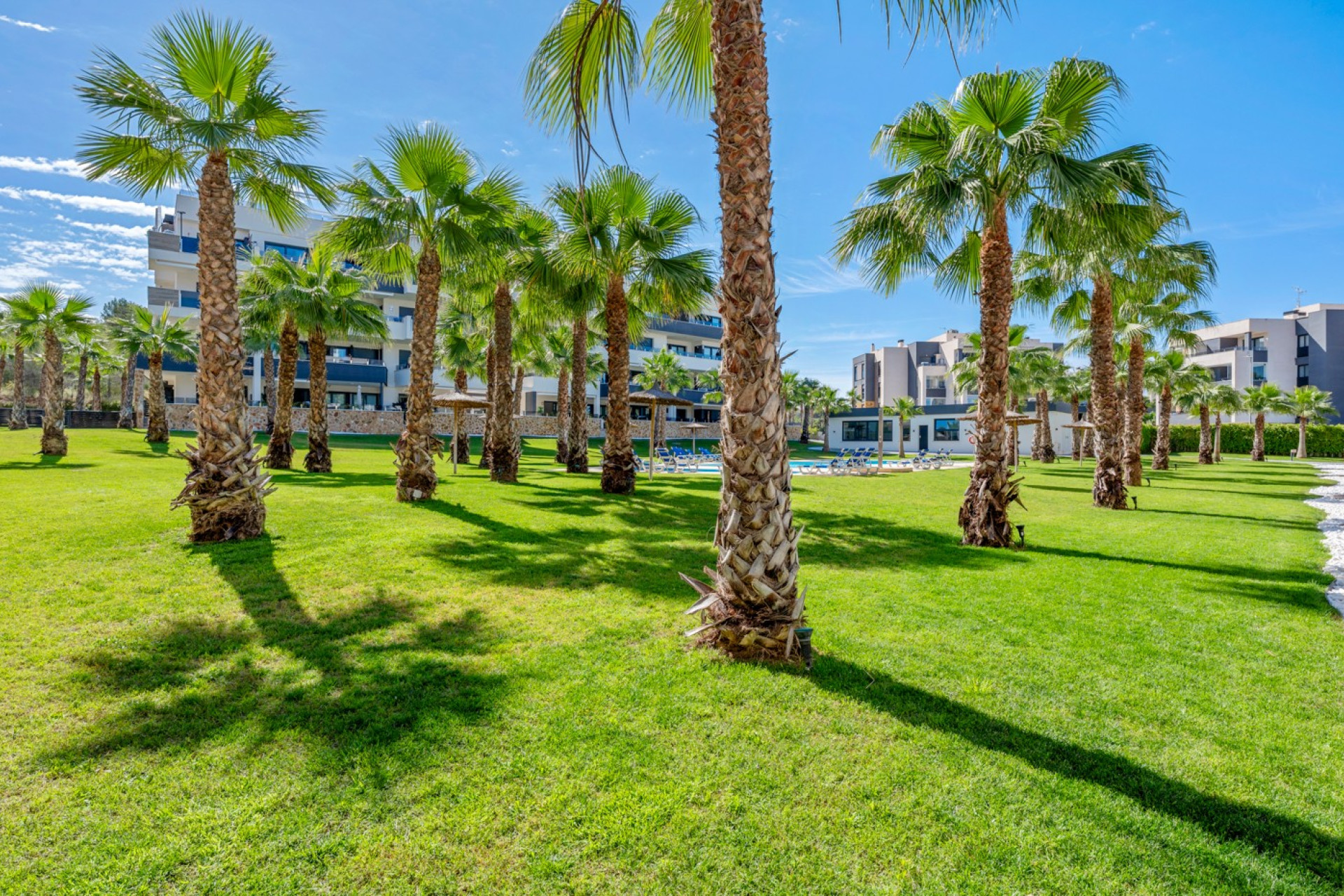 Herverkoop - Plat -
Orihuela Costa - Los Altos