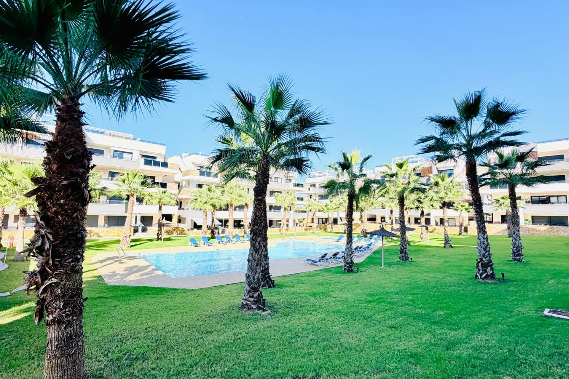 Herverkoop - Plat -
Orihuela Costa - Los Altos