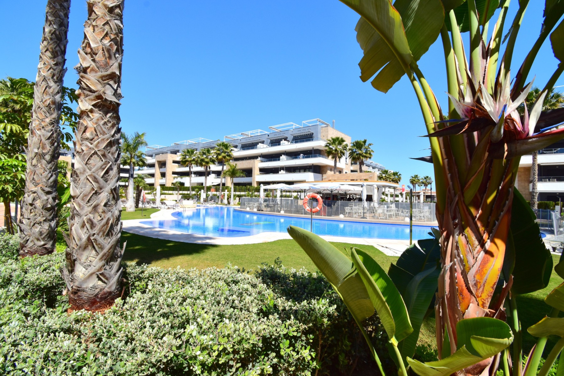Herverkoop - Plat -
Orihuela Costa - Playa Flamenca