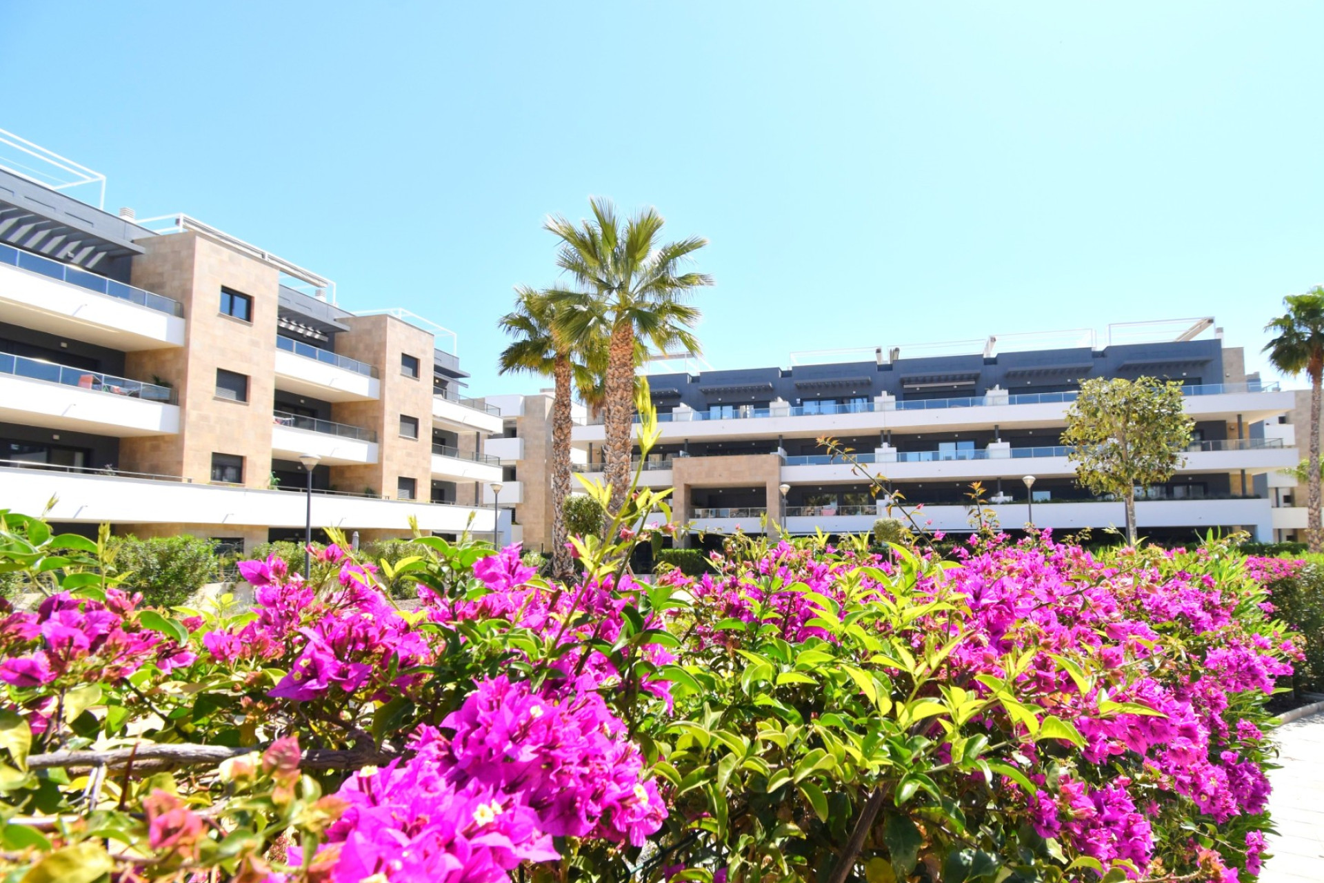 Herverkoop - Plat -
Orihuela Costa - Playa Flamenca