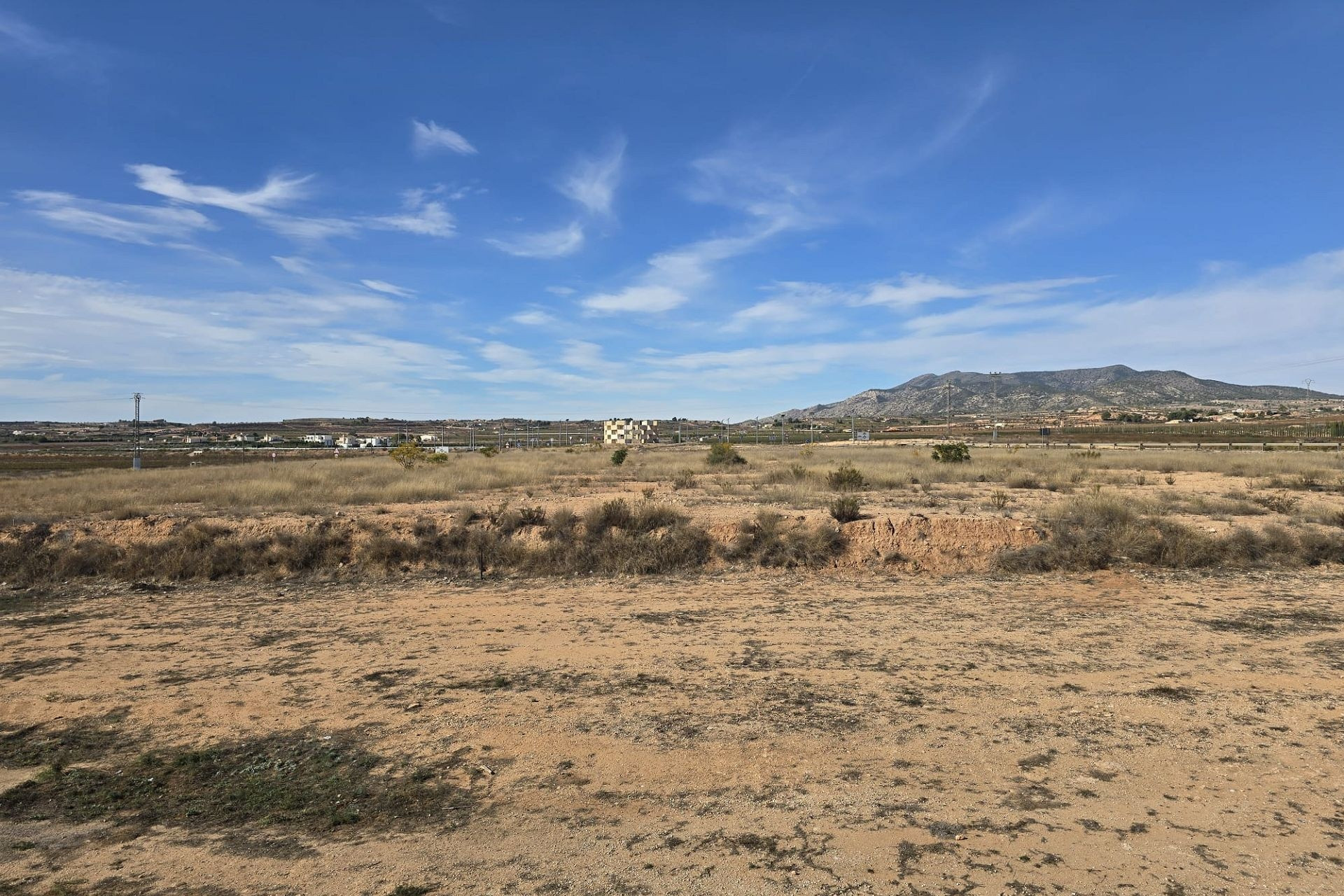 Herverkoop - Plat -
Pinoso