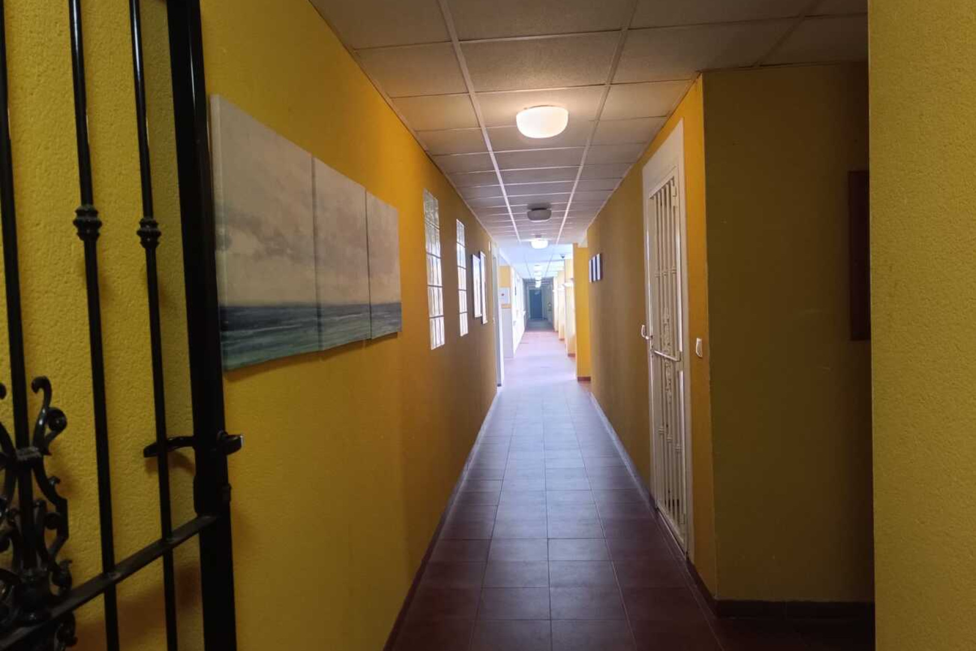 Herverkoop - Plat -
Rafal