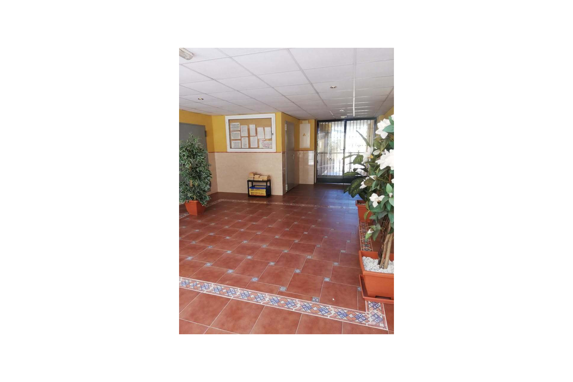 Herverkoop - Plat -
Rafal