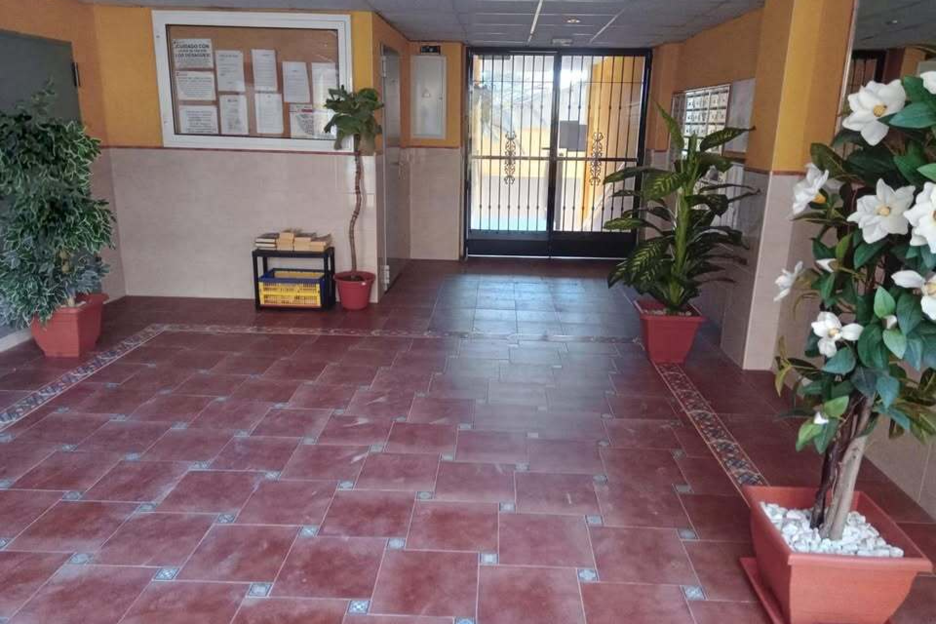 Herverkoop - Plat -
Rafal