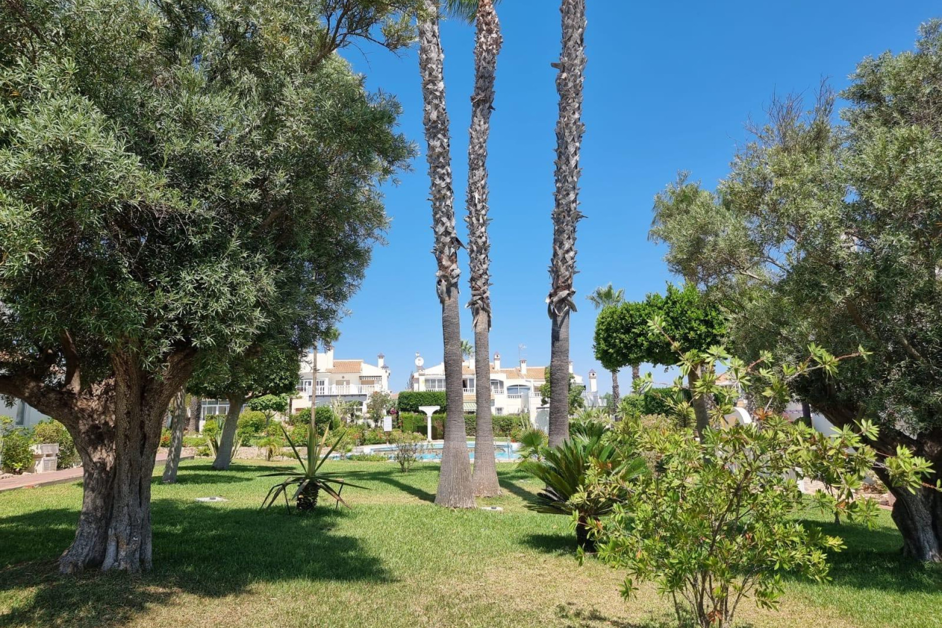 Herverkoop - Plat -
Torrevieja - Los Balcones - Los Altos del Edén