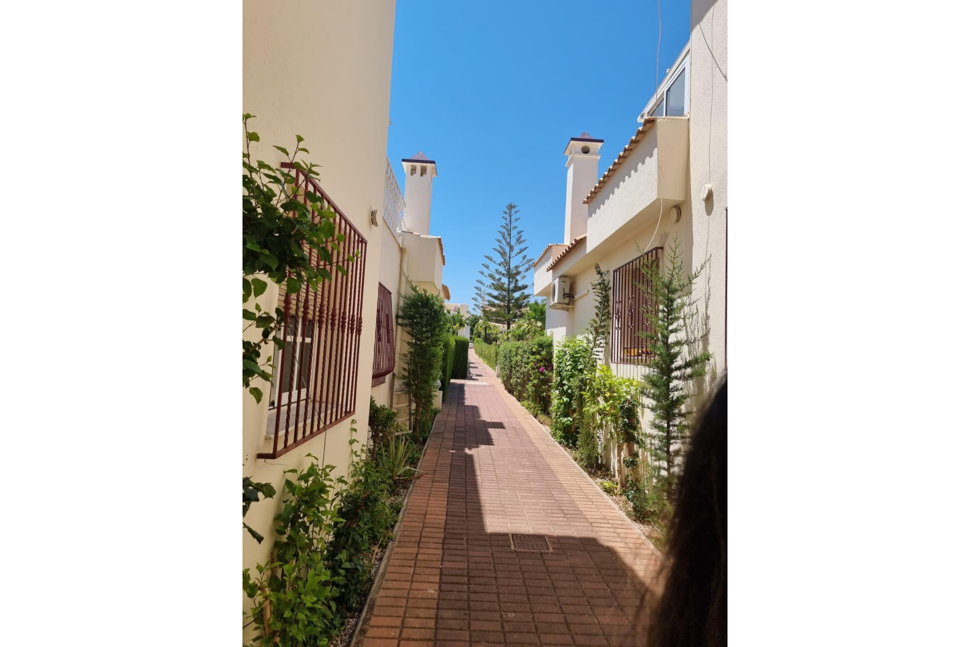 Herverkoop - Plat -
Torrevieja - Los Balcones - Los Altos del Edén