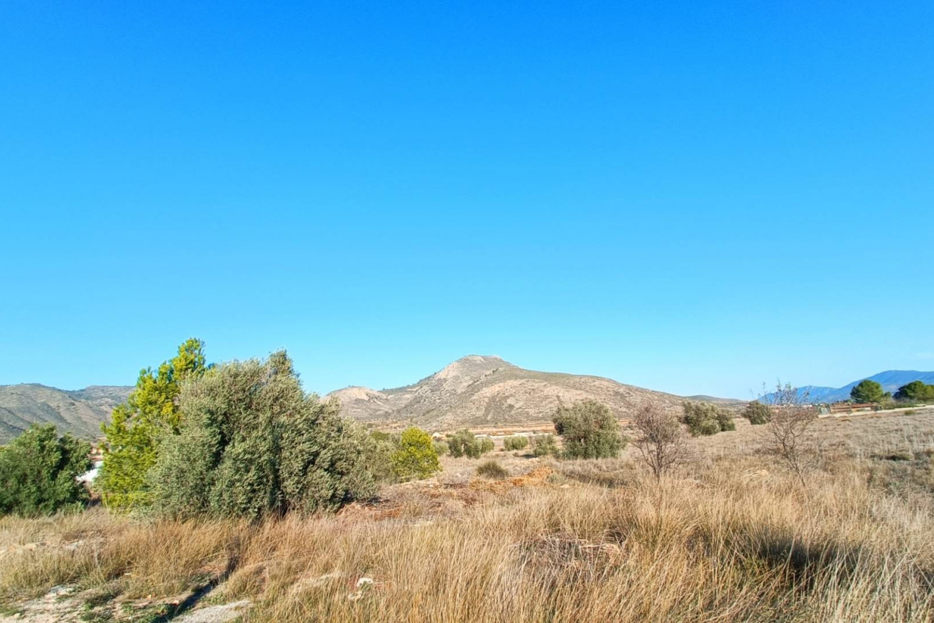 Herverkoop - Villa -
BARBARROJA - Barbarroja