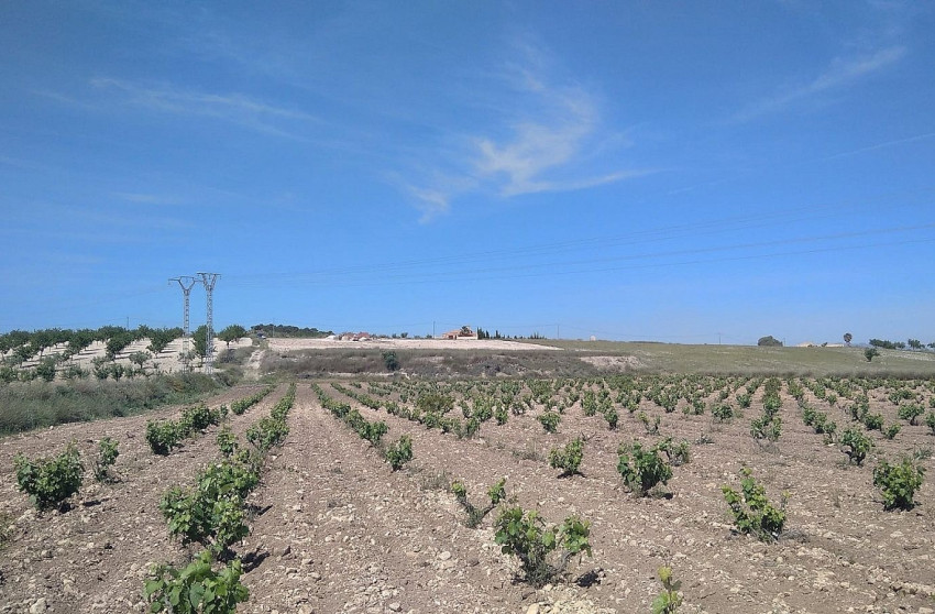 Herverkoop - Villa -
Cañada del Trigo