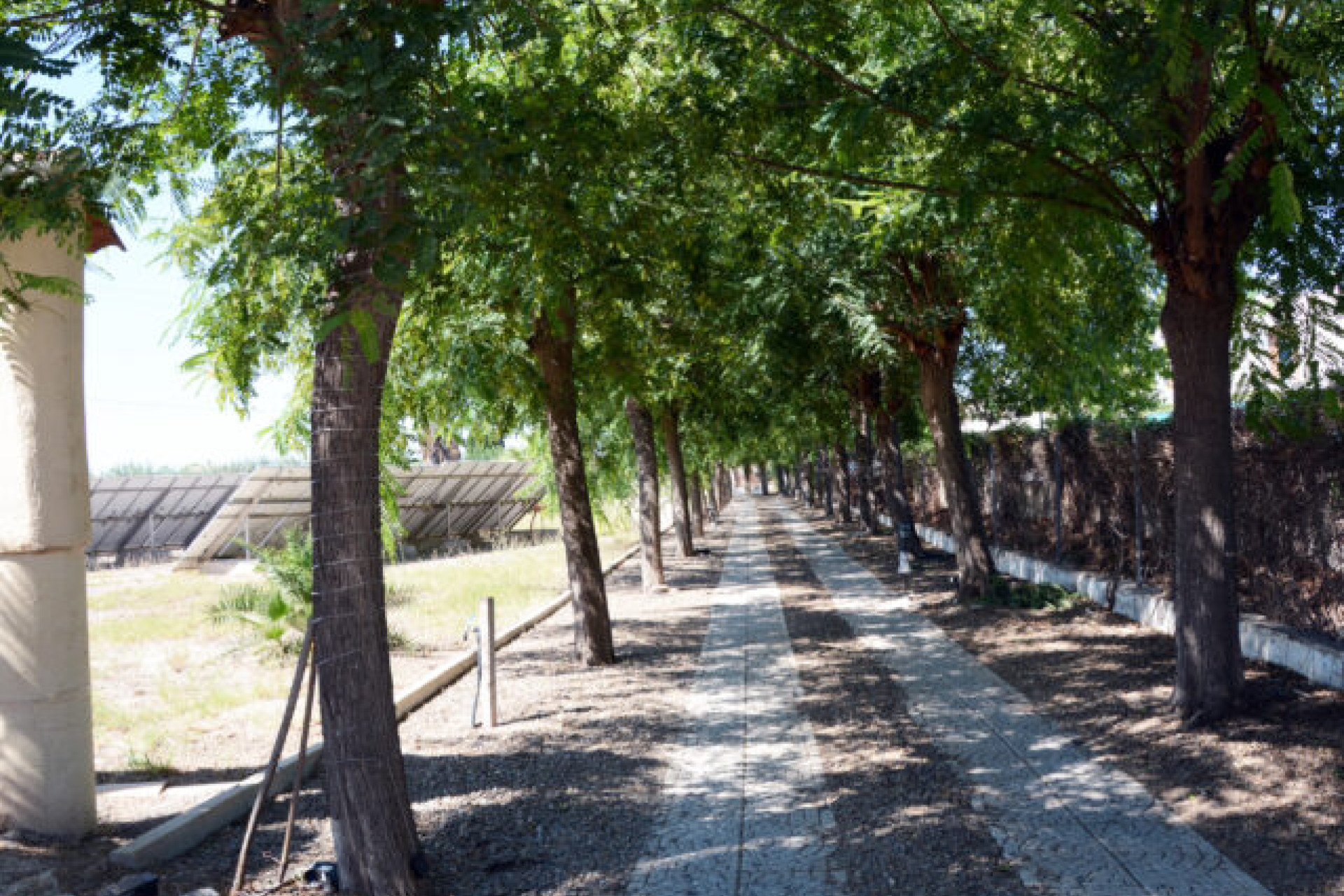 Herverkoop - Villa -
Daya Vieja