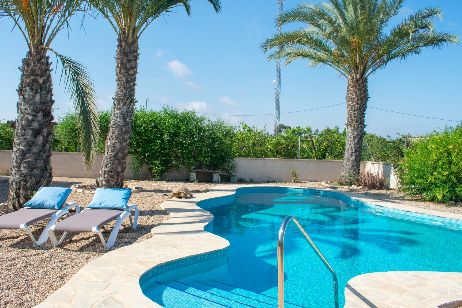 Herverkoop - Villa -
Guardamar del Segura - El Raso