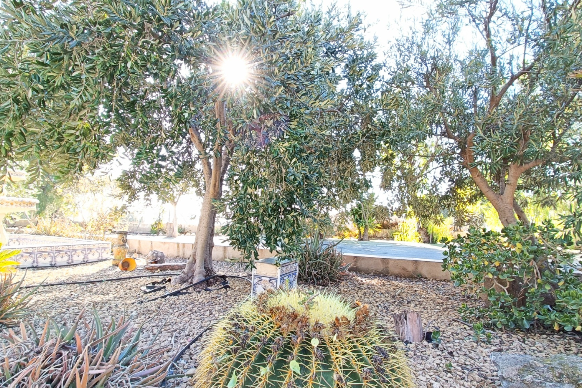 Herverkoop - Villa -
La Romana