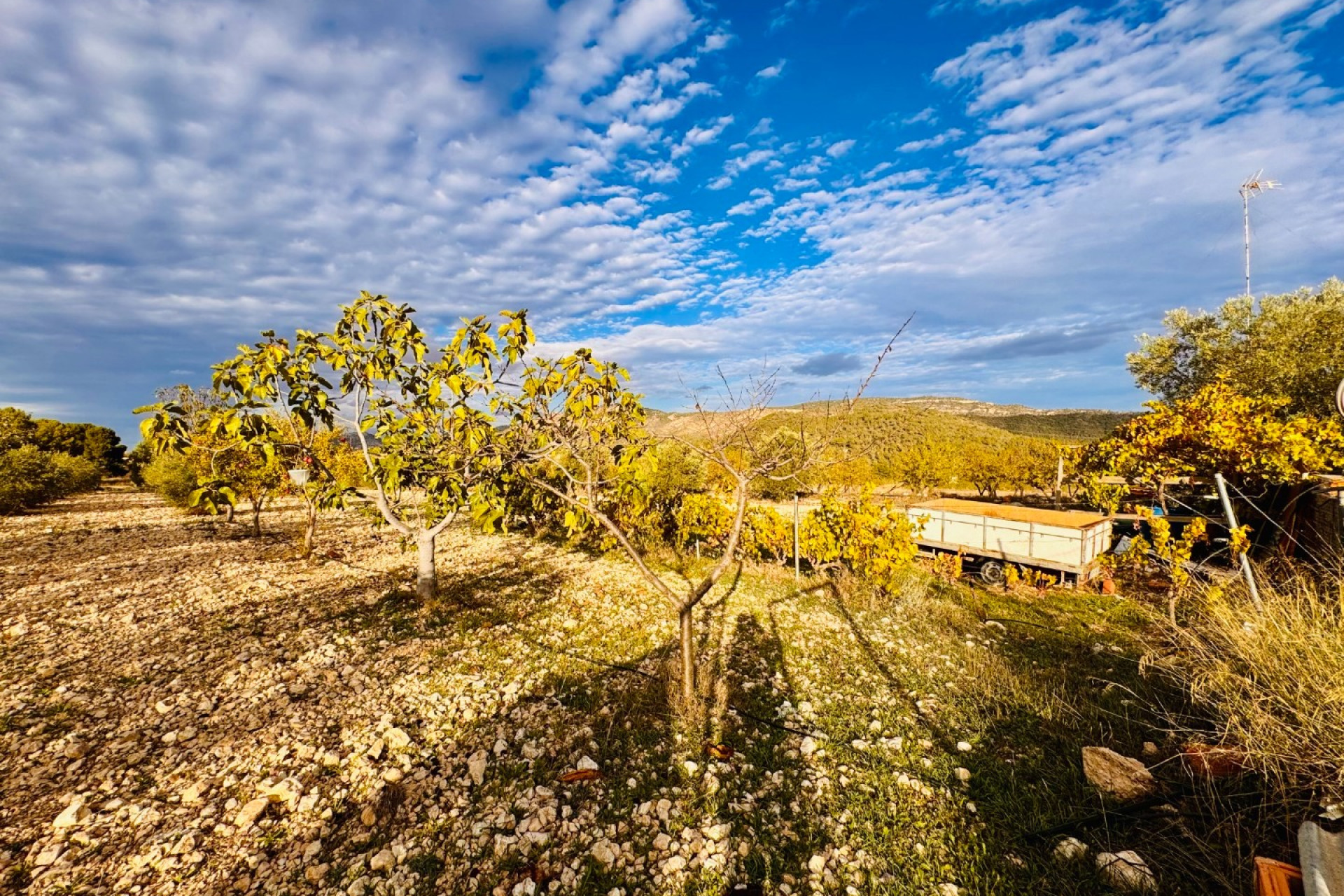 Herverkoop - Villa -
Monóvar - Monovar