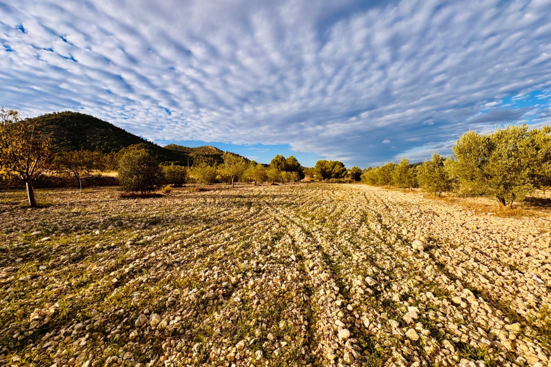 Herverkoop - Villa -
Monóvar - Monovar