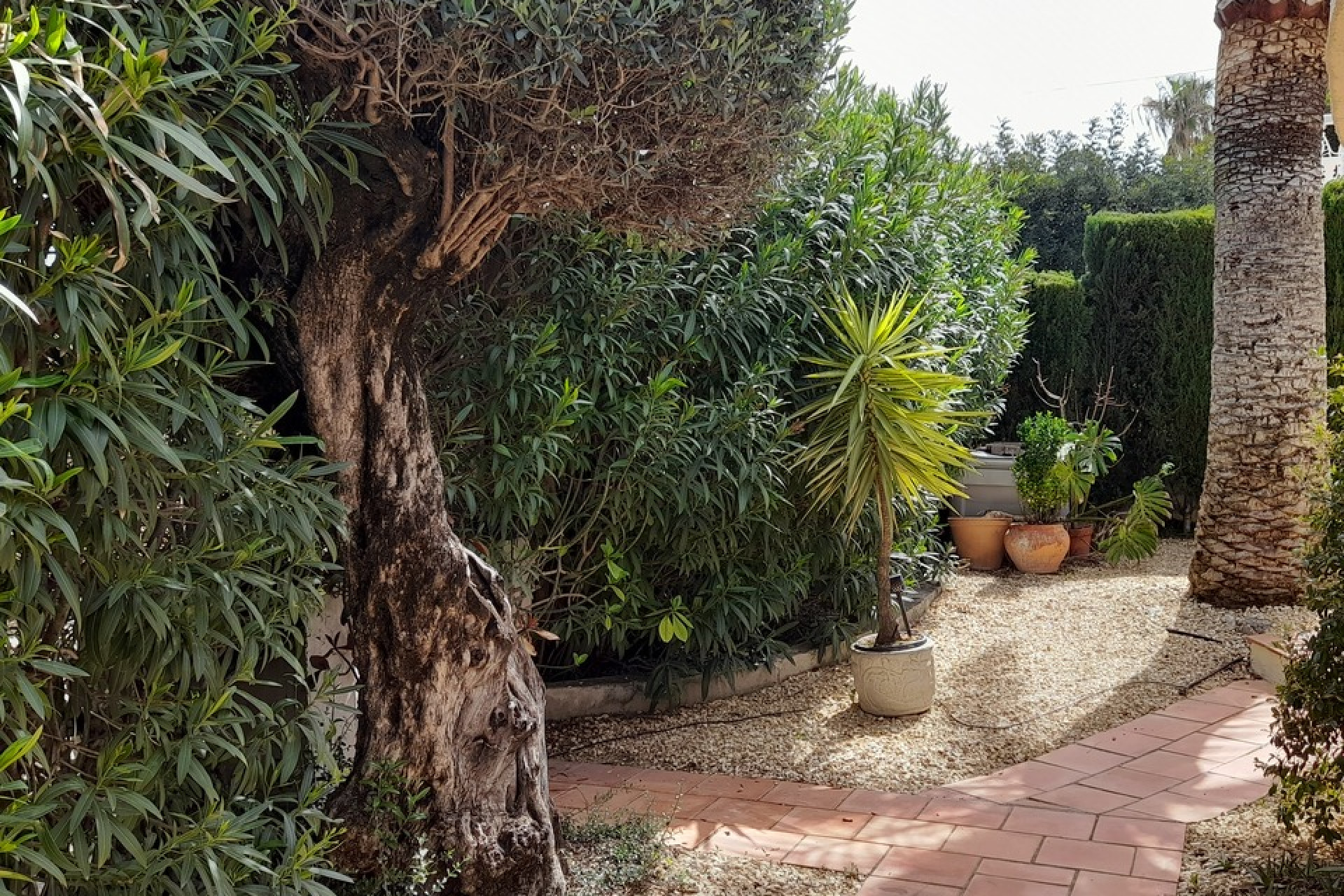 Herverkoop - Villa -
Orba - Inland