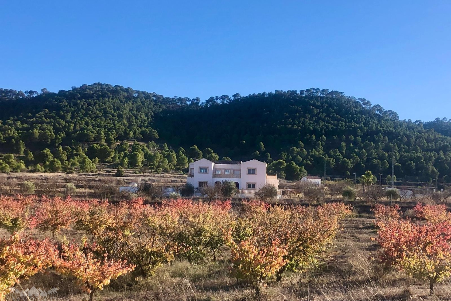 Herverkoop - Villa -
Pinoso - Pinoso Alicante