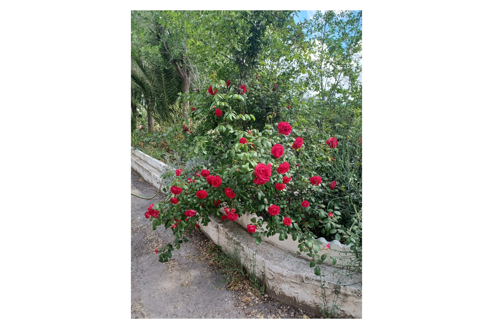 Herverkoop - Villa -
Sax