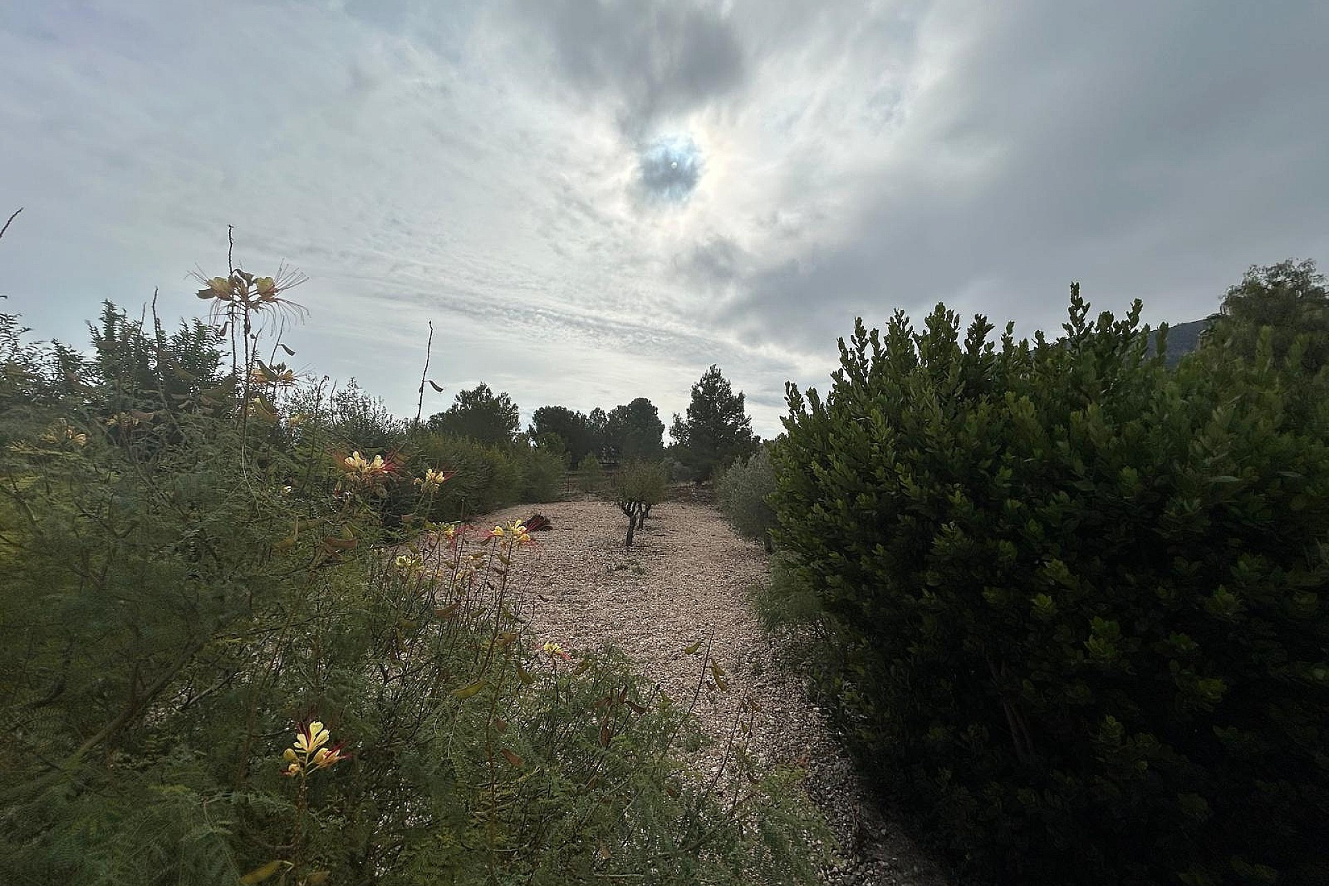 Herverkoop - Villa -
Sax