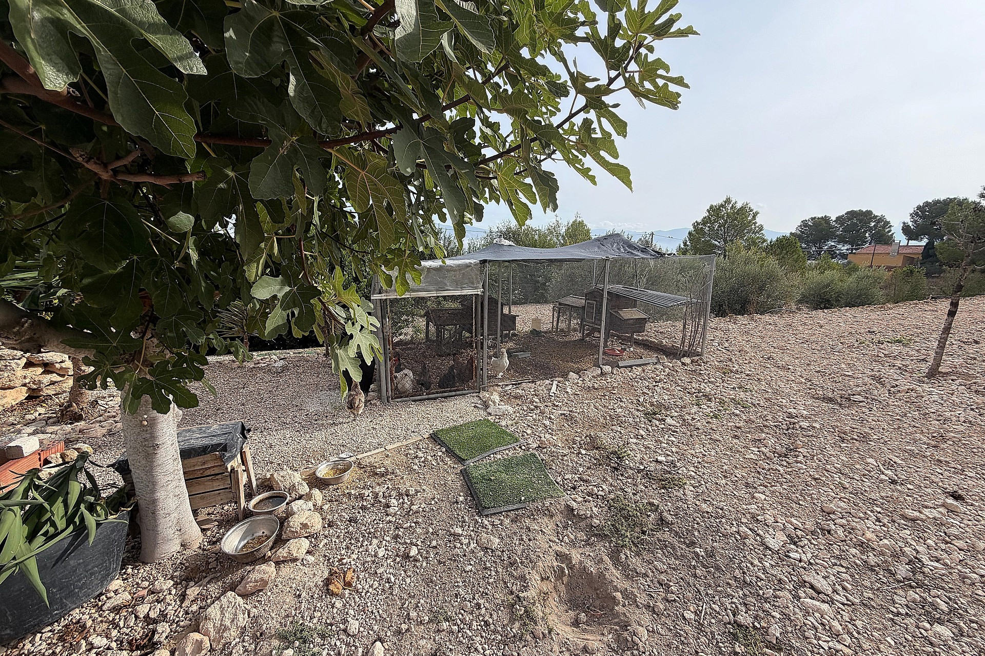 Herverkoop - Villa -
Sax