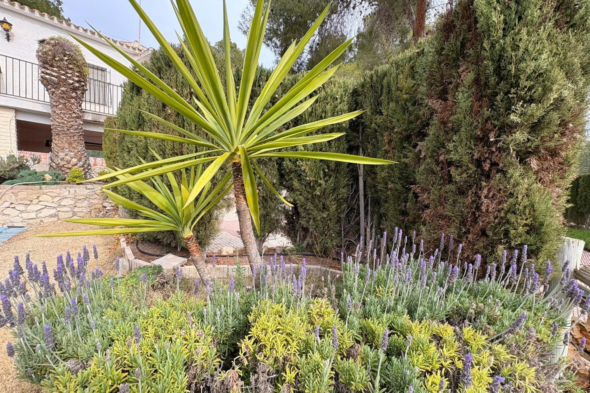 Herverkoop - Villa -
Sax