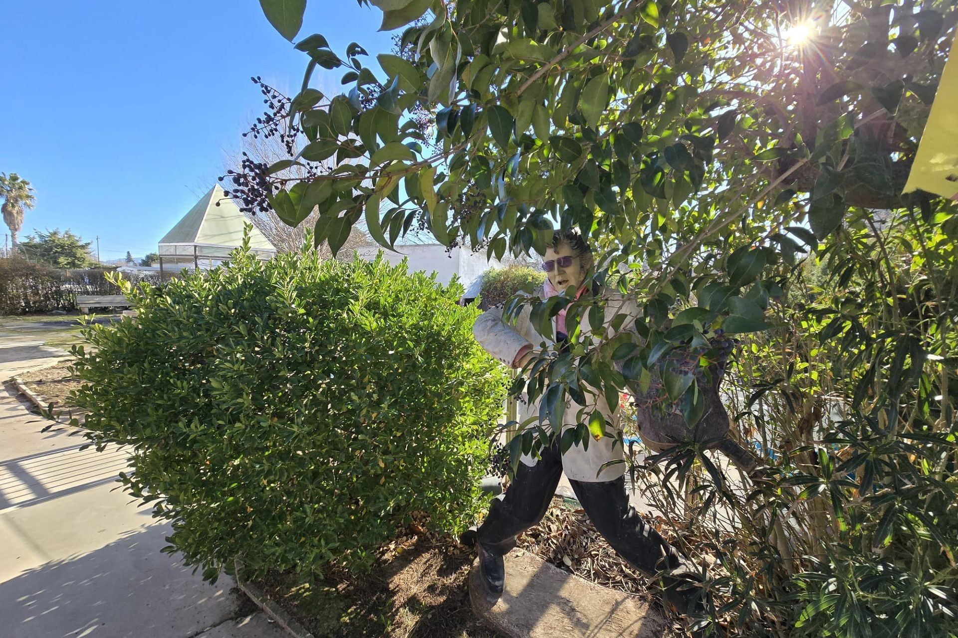 Herverkoop - Villa -
Villena