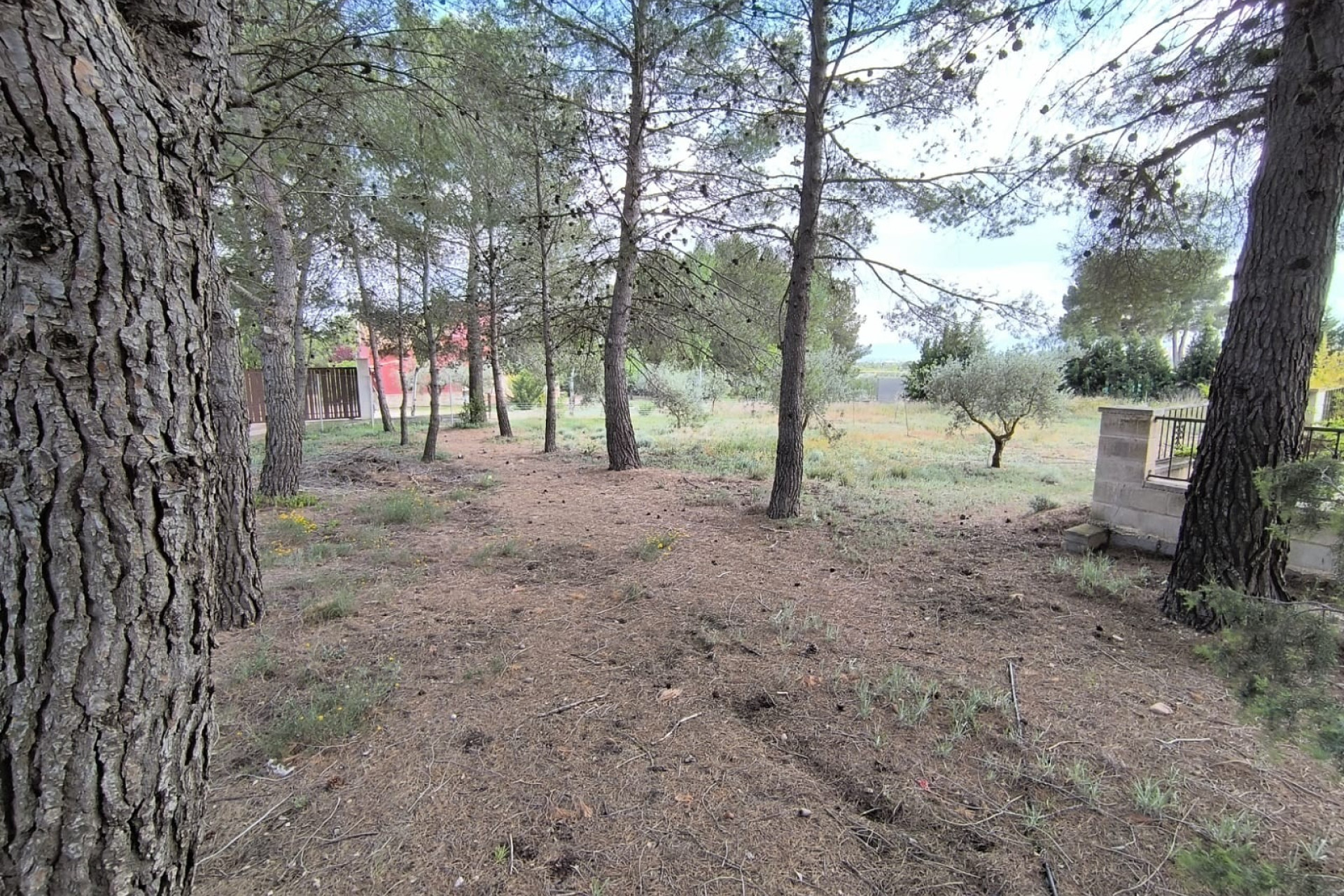 Herverkoop - Villa -
Yecla - Inland