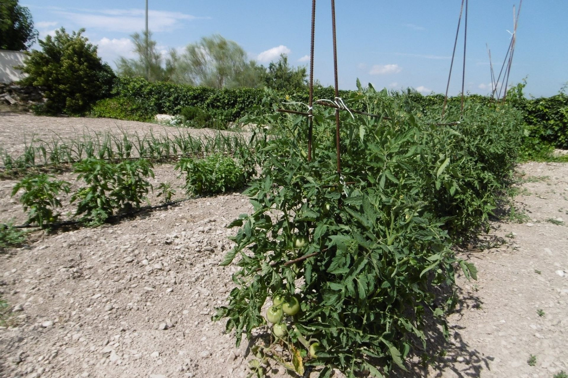 Herverkoop - Villa -
Yecla