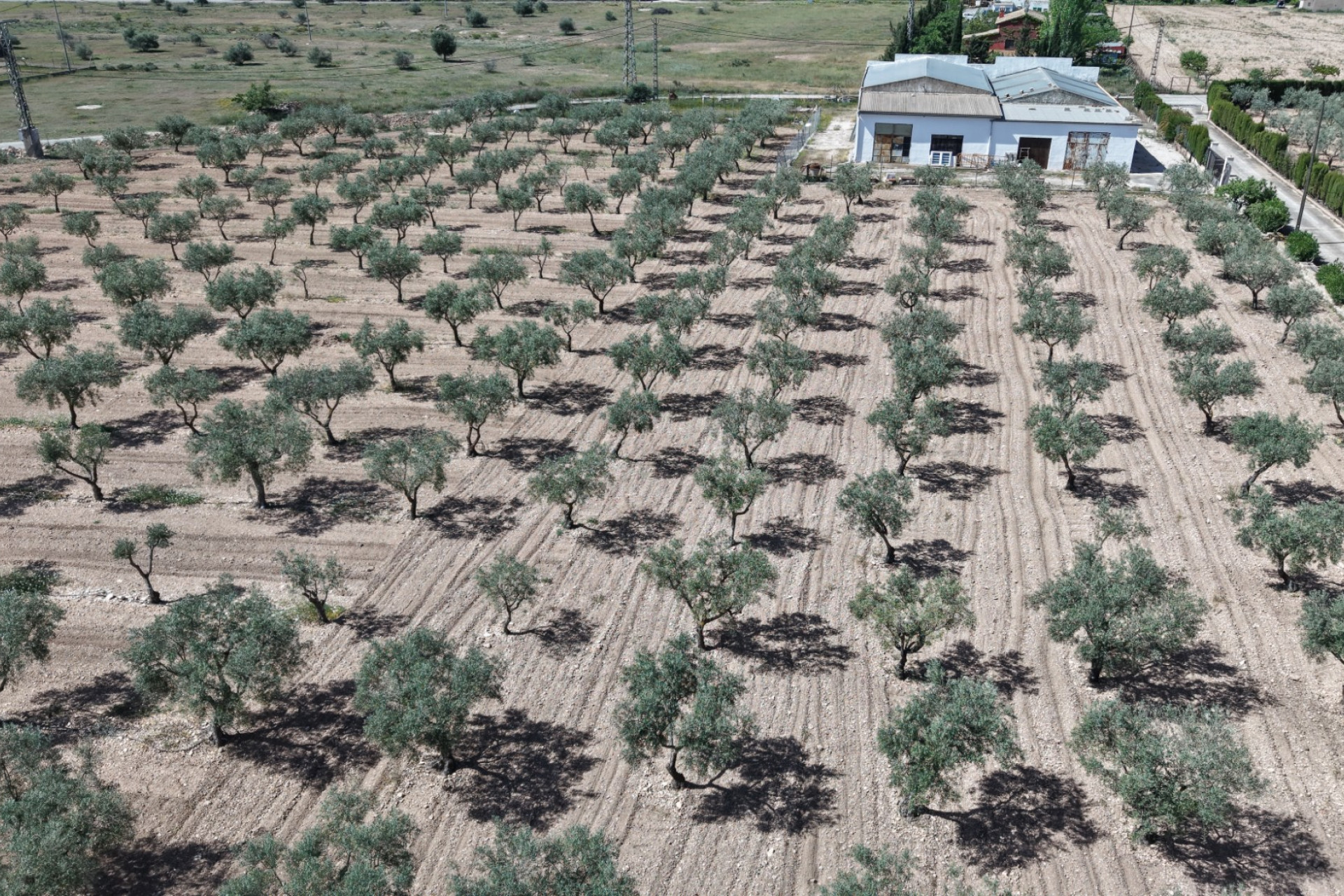 Herverkoop - Villa -
Yecla