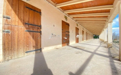Hippische installaties - Herverkoop -
            Penàguila - LCI-pv