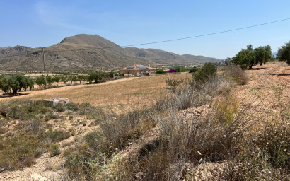 Land - Herverkoop - BARBARROJA - Barbarroja