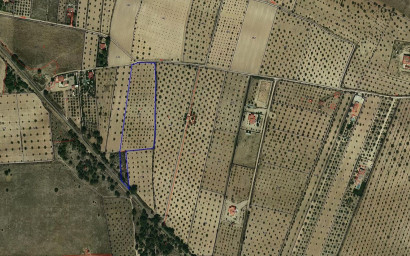 Land - Herverkoop -
            Biar - 98975