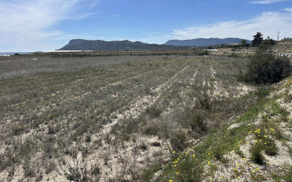 Land - Herverkoop - Hondón de las Nieves - Hondón de las Nieves