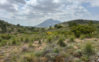 Land - Herverkoop - Hondón de las Nieves - Hondón de las Nieves