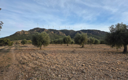 Land - Herverkoop -
            Jumilla - AC036
